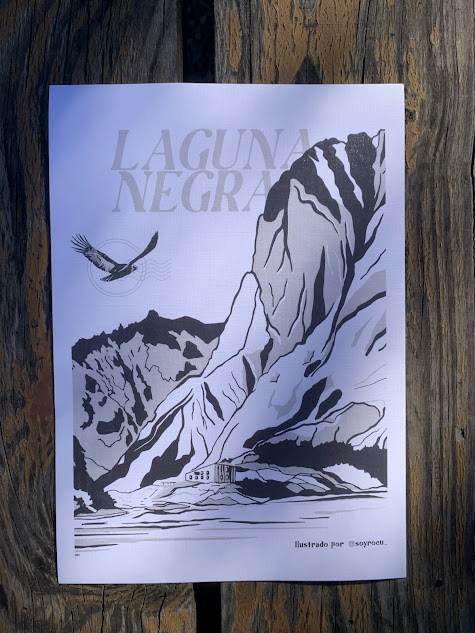Diseño (9)